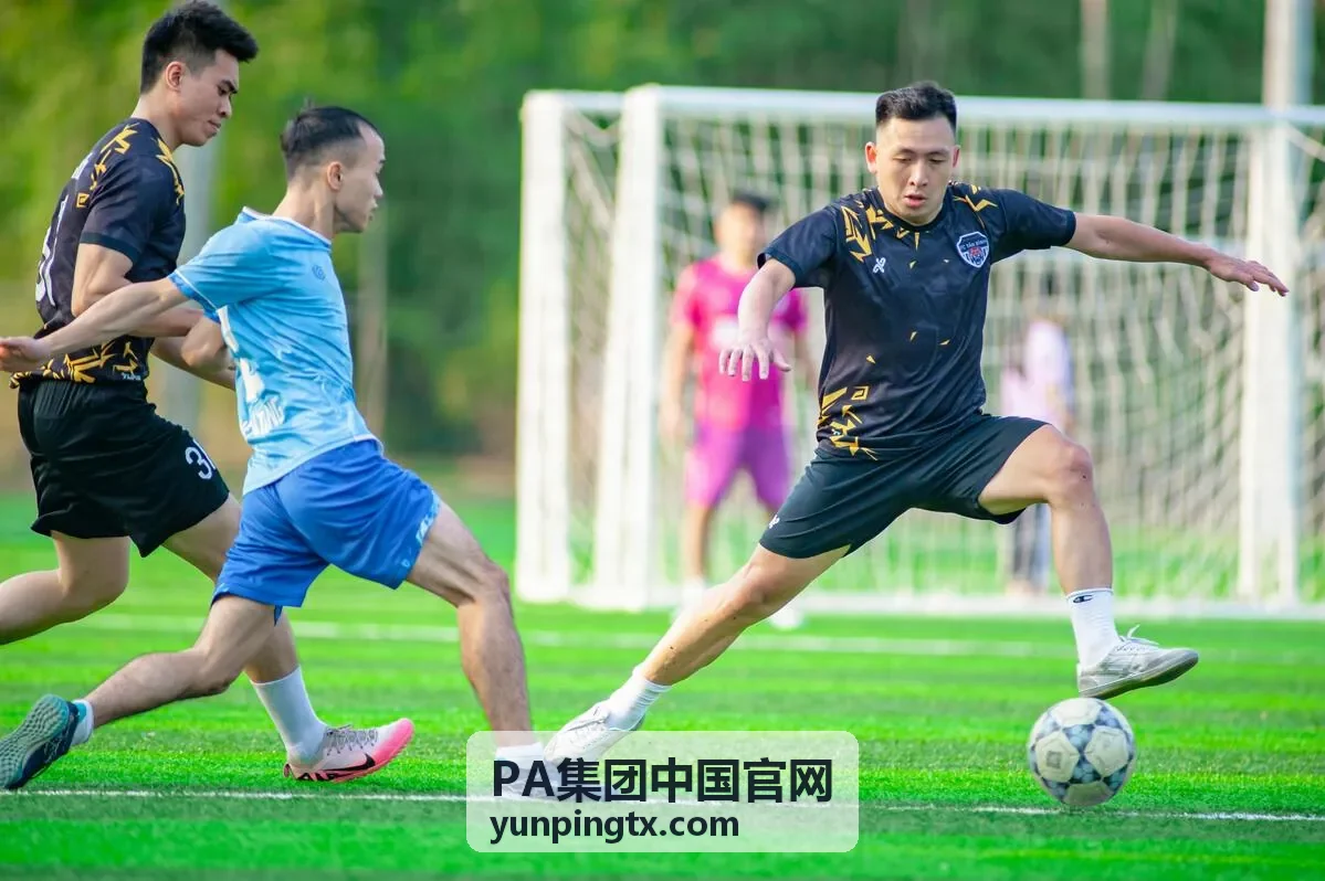 PA集团汽车行业方案